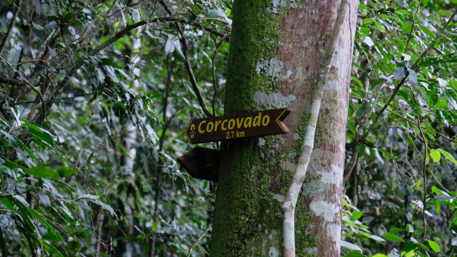 A Corcovado trail sign on a forest path in Tijuca National Park, Rio de Janeiro